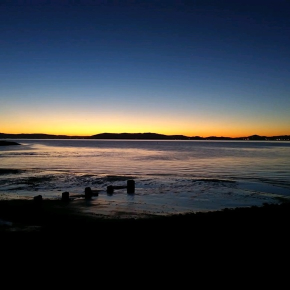 Meet your Posher, Ernest - Picture 1 of 1